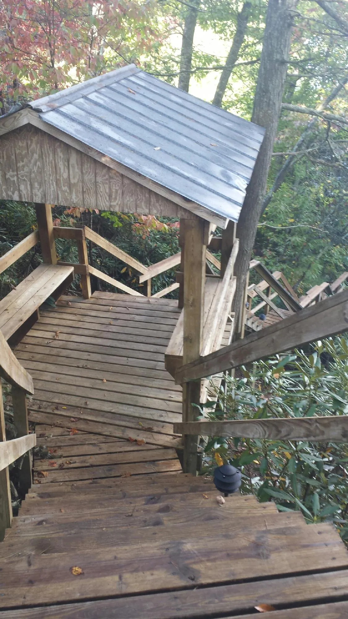 Metal roofed shelter over wooden steps on a wooded walkway — Skylight Repair & Installation work by our crew in Winlock