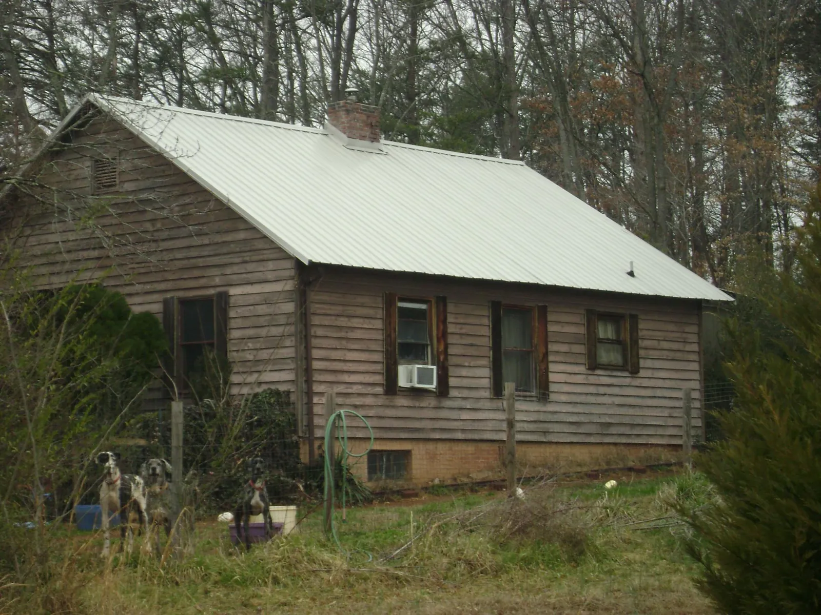 White metal roof on an old wood sided farmhouse, from a Metal Roof Installation job in Winlock